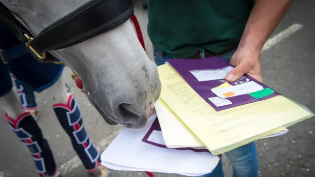 Horse and passport at Stansted