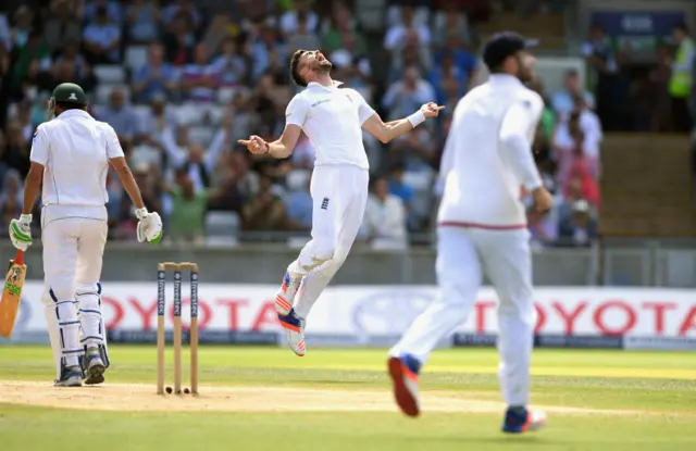 James Anderson celebrates