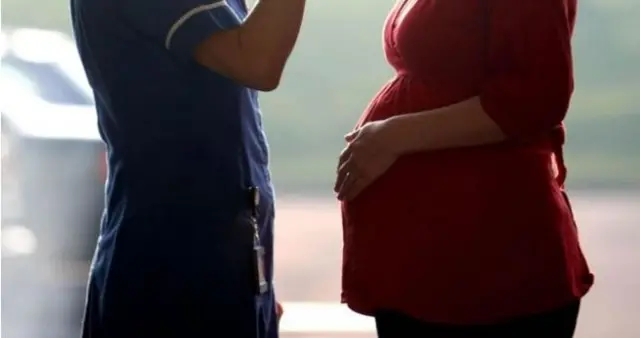 Pregnant woman and midwife