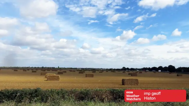 Fields in Histon