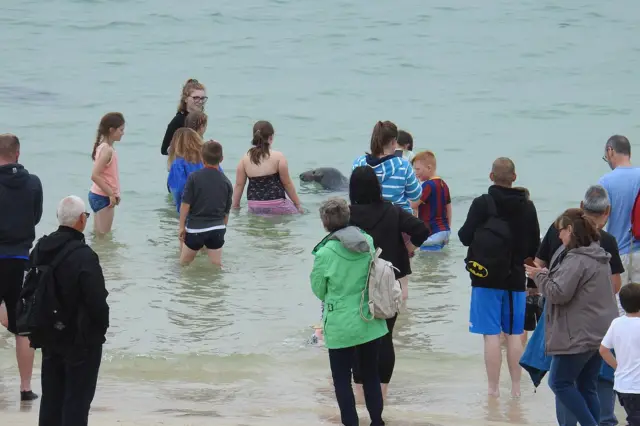 St Ives