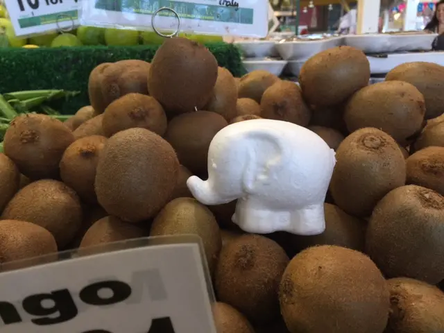 Mini elephant among pile of kiwi fruit