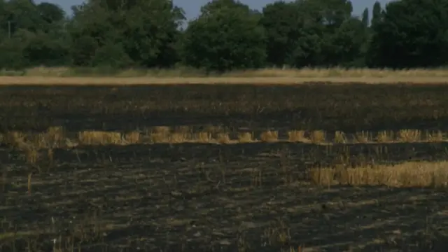 Stubble field after fire