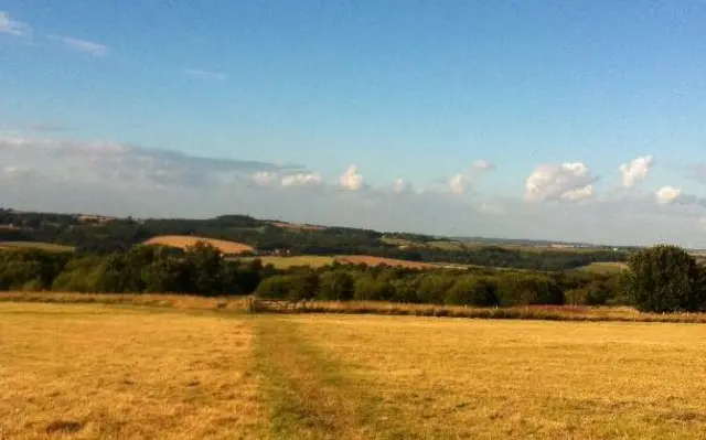 Golden fields in Rotherham