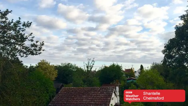 Weather Watchers Chelmsford