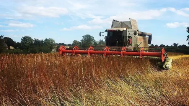 Harvesting