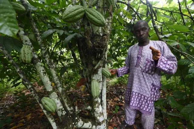 Nigerian farmer with his crops