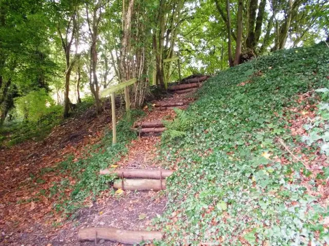 Woodland in Herefordshire