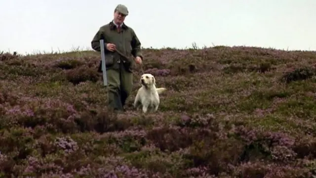 Hunter with dog on Scottish land