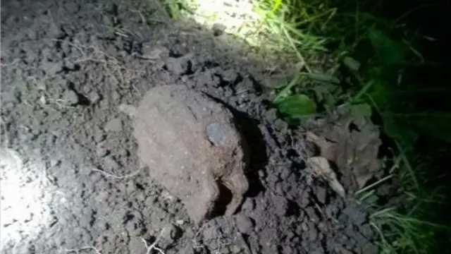 Grenade