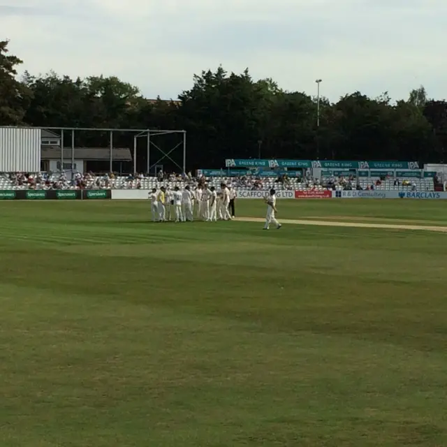 Essex cricketers celebrate after taking wicket