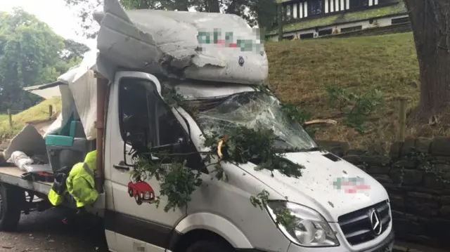 The van after the tree fall