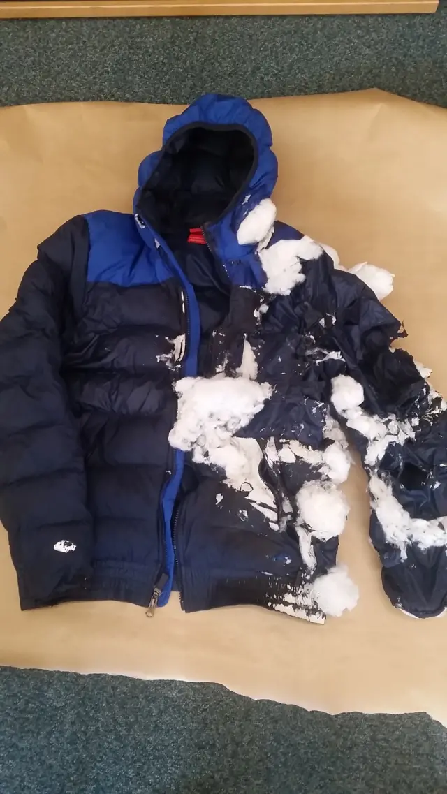 Jacket in Pitsea arson inquiry