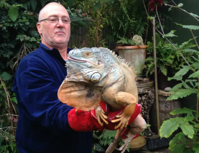 Steve Hills with the iguana