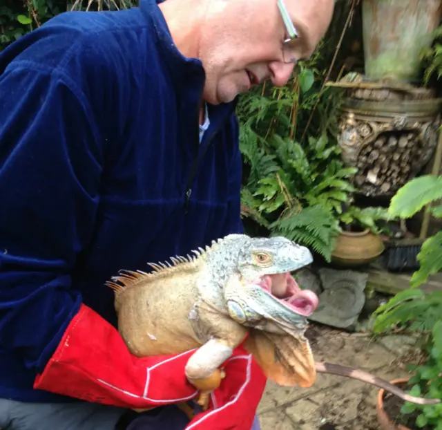 Steve Hills with the iguana