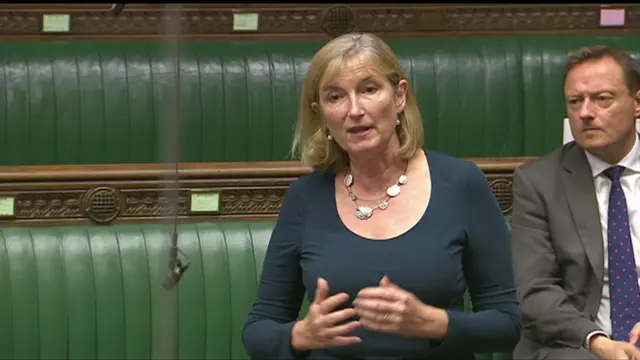 Chair of the Health Committee Sarah Wollaston