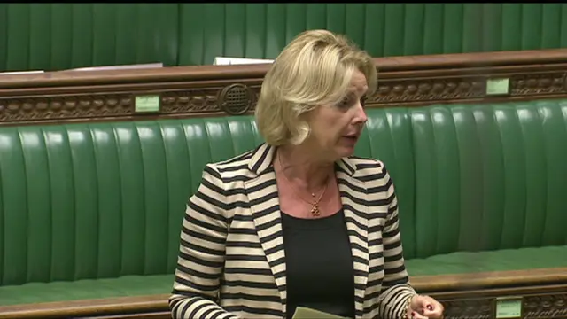 Former business minister Anna Soubry