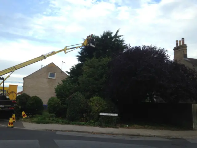 Cherry picker coming to retrieve escaped iguana