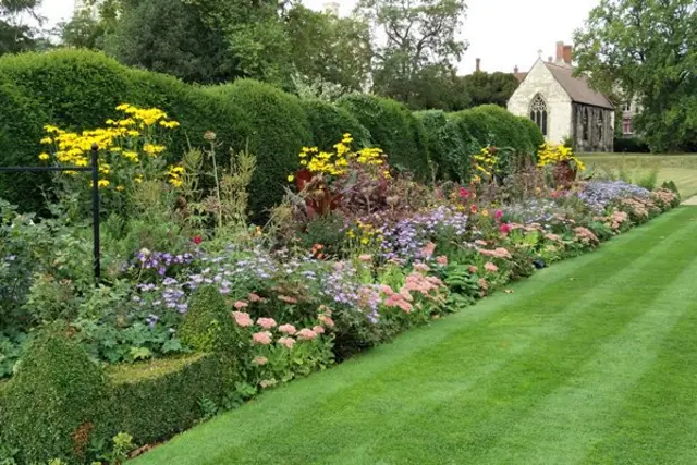 A mixed border in the Bishop's House Garden, showing yellow, puple and pink flowers in front of a hedge