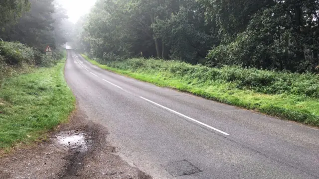 The stretch of road on Cannock Chase from which they've been stolen