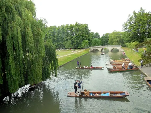 Punting on the River Cam