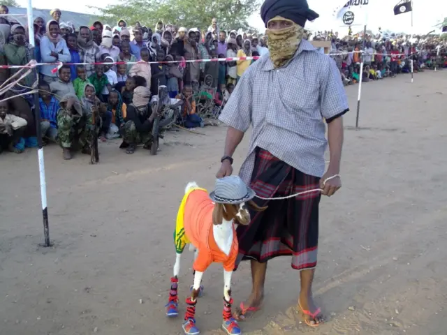 A fighter with a dressed up goat, Somalia