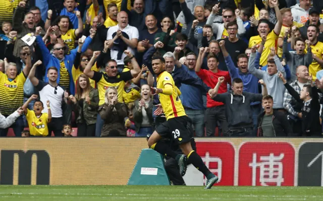 Etienne Capoue celebrates