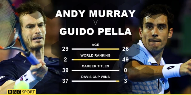 Murray v Pella