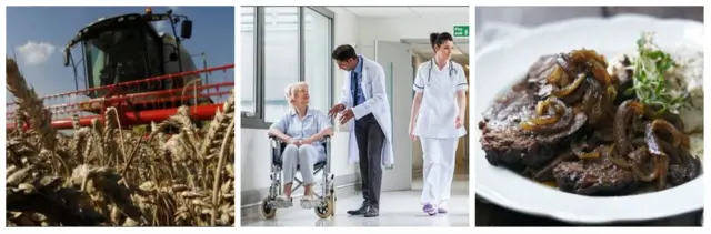 Tractor, doctor and nurse in ward and beef dinner