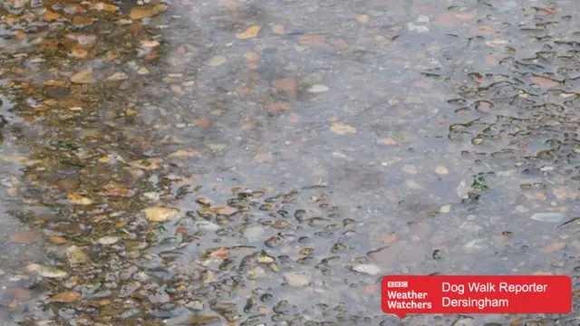 Puddle on gravel