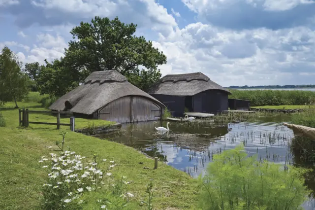 Two thatched boathouses, on the water's edge, with swans and grassland