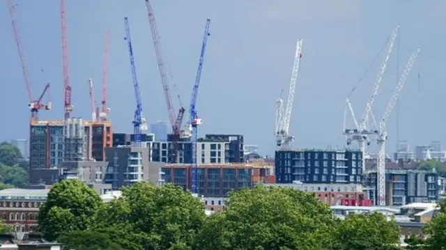 Construction cranes on skyline