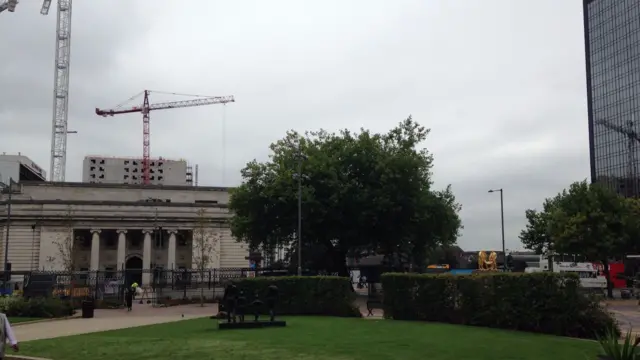 Big tree in Birmingham