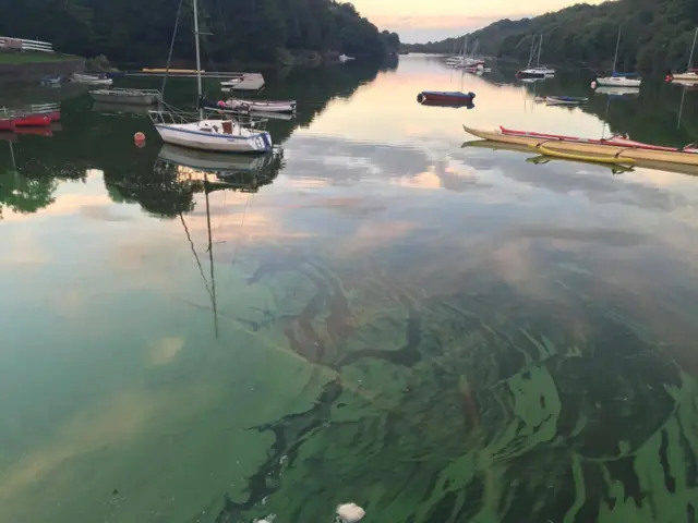 Rudyard lake