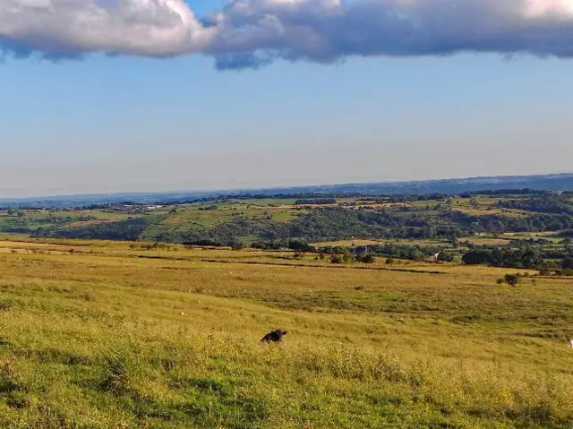 Field in Leek