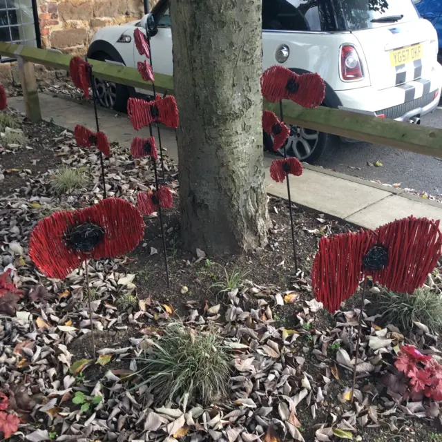 Poppy display