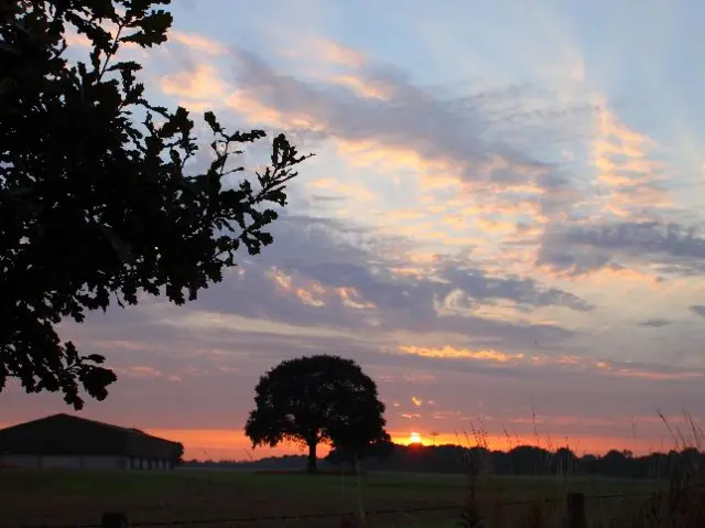 Sunset in Essington