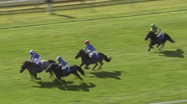 Shetland Pony Grand National