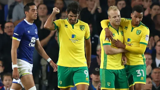 Norwich City celebrate Steven Naismith's goal against Everton