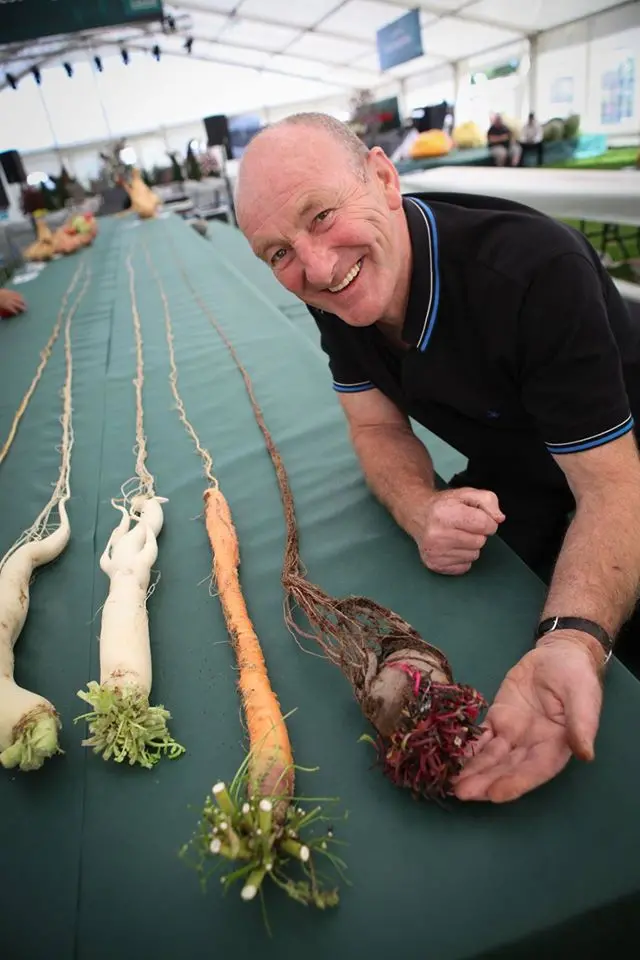 Giant vegetables at Malvern Country Show