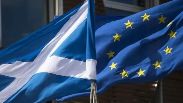 Scottish and EU flags