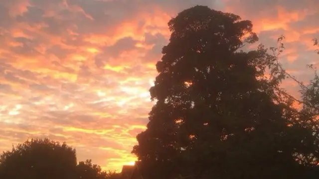 Ryton sunset