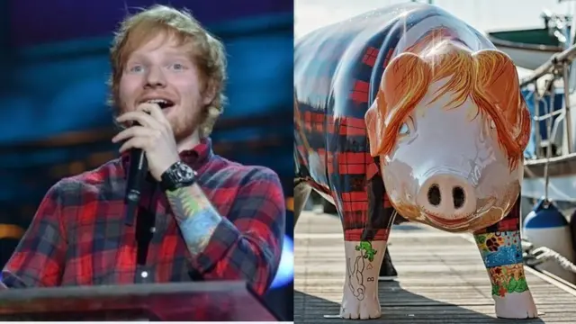 Ed Sheeran + pig counterpart