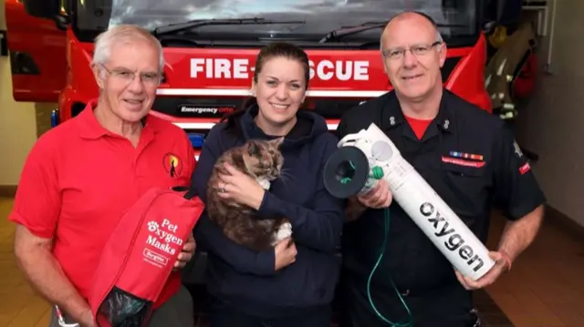 Firefighters with cat and oxygen mask