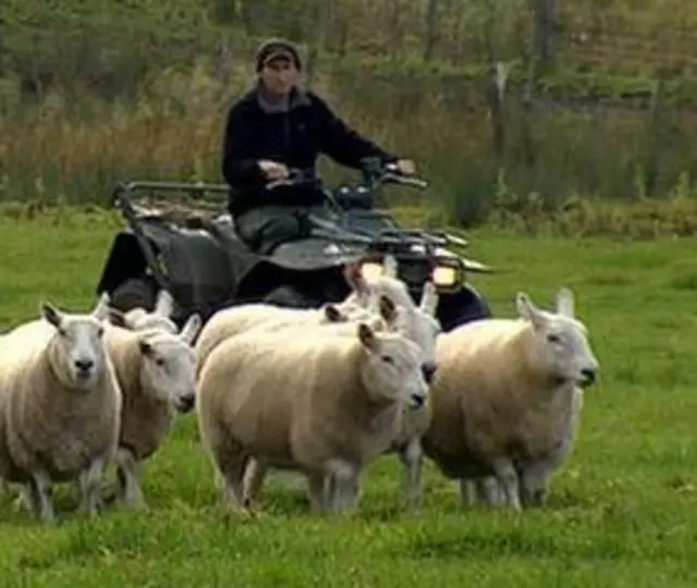 Quad bike farmer