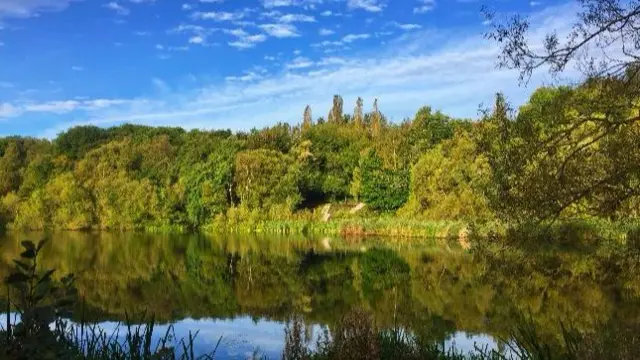 Lake near Telford