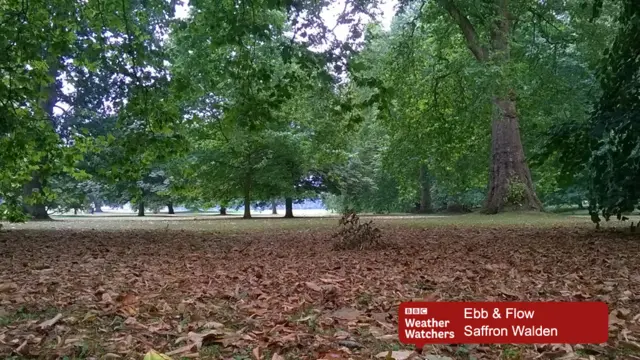 Park in Saffron Walden