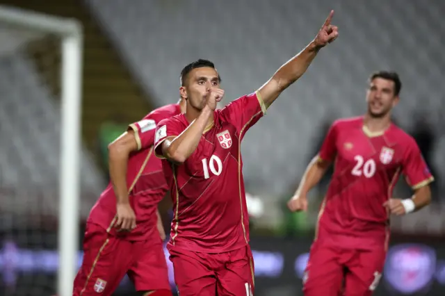 Tadic celebrates