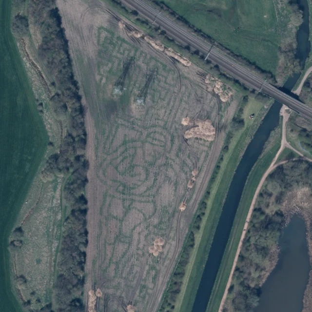 Rugby-themed maize maze at Sandwell Valley Country Park.