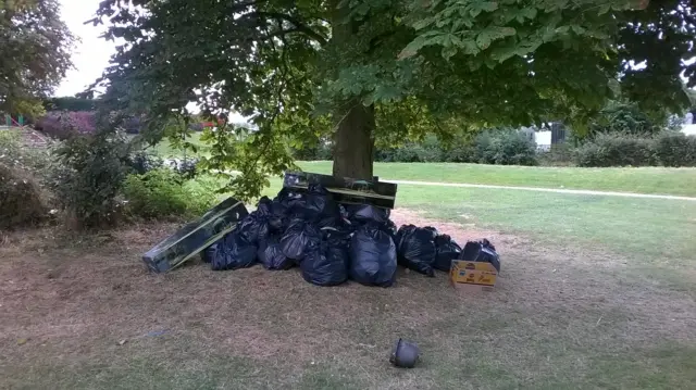 Litter in Milton Keynes parks